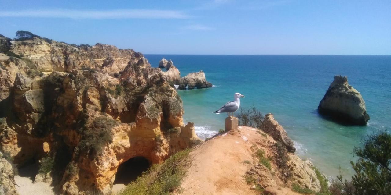 T2 De Luxo Em Albur-Village A 10 Minutos Da Praia A Pe Alvor Bagian luar foto